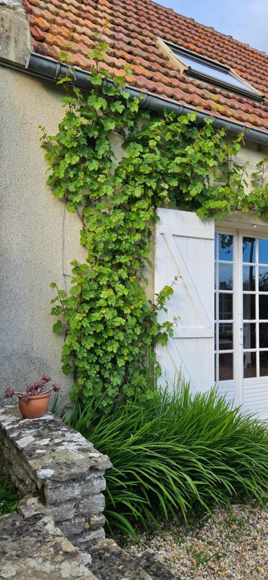Villa La petite chouette à Saint-Côme-de-Fresné Extérieur photo